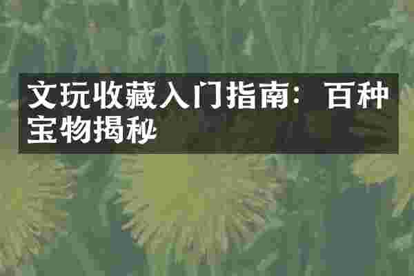 文玩收藏入门指南：百种宝物揭秘
