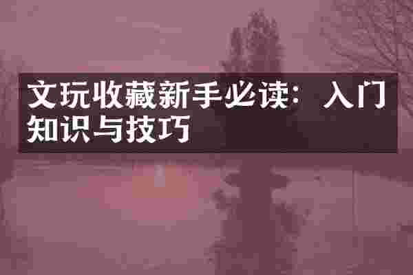 文玩收藏新手必读：入门知识与技巧