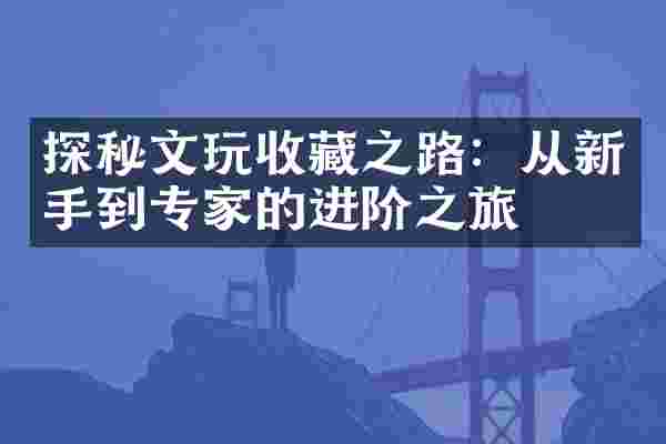 探秘文玩收藏之路：从新手到专家的进阶之旅