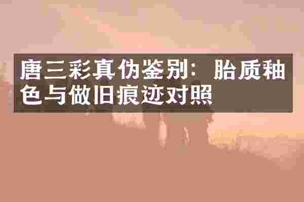 唐三彩真伪鉴别：胎质釉色与做旧痕迹对照