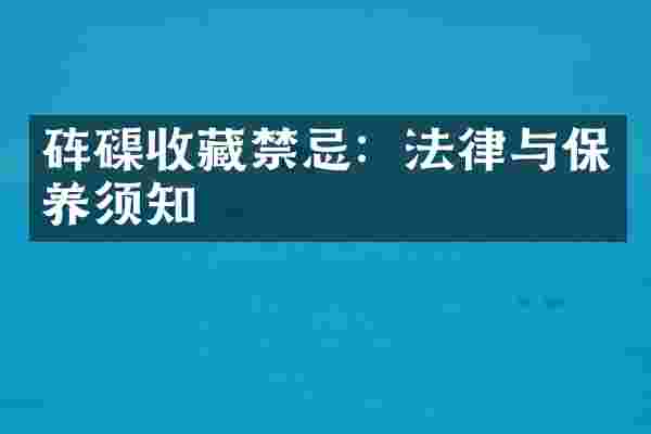 砗磲收藏禁忌：法律与保养须知