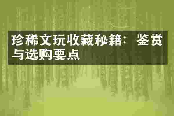 珍稀文玩收藏秘籍：鉴赏与选购要点