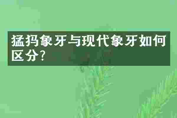 猛犸象牙与现代象牙如何区分？