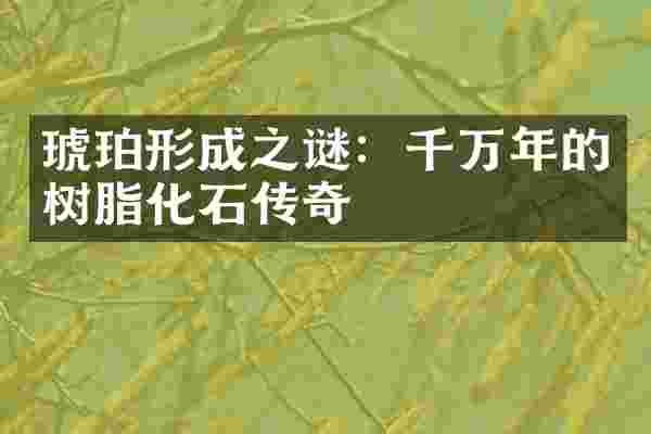 琥珀形成之谜：千万年的树脂化石传奇