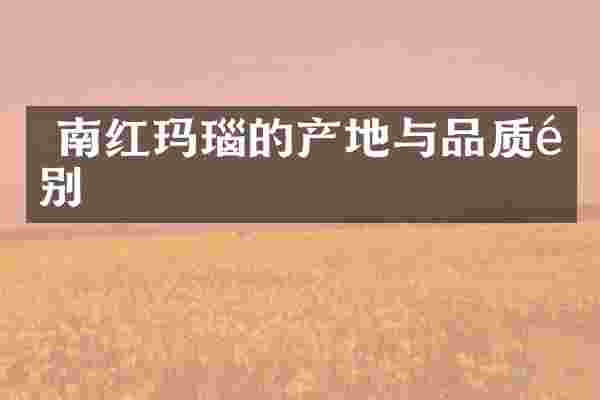  南红玛瑙的产地与品质鉴别