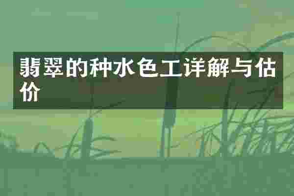 翡翠的种水色工详解与估价