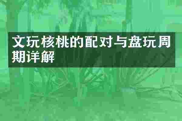 文玩核桃的配对与盘玩周期详解