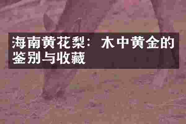 海南黄花梨：木中黄金的鉴别与收藏