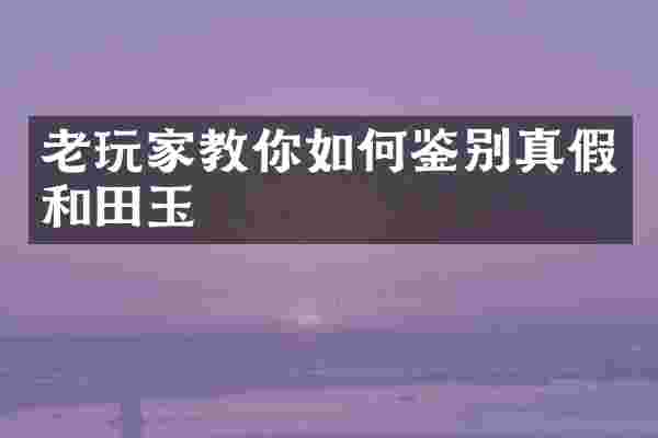 老玩家教你如何鉴别真假和田玉