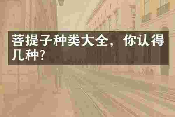 菩提子种类大全，你认得几种？