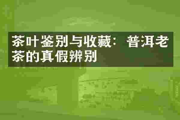 茶叶鉴别与收藏：普洱老茶的真假辨别