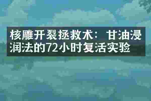 核雕开裂拯救术：甘油浸润法的72小时复活实验