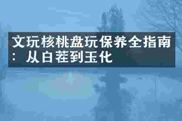 文玩核桃盘玩保养全指南：从白茬到玉化