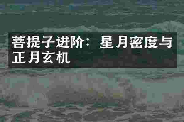 菩提子进阶：星月密度与正月玄机