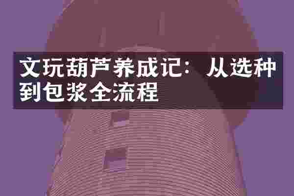 文玩葫芦养成记：从选种到包浆全流程