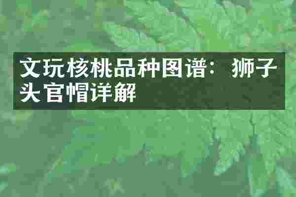 文玩核桃品种图谱：狮子头官帽详解