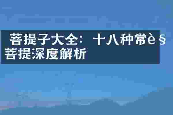  菩提子大全：十八种常见菩提深度解析