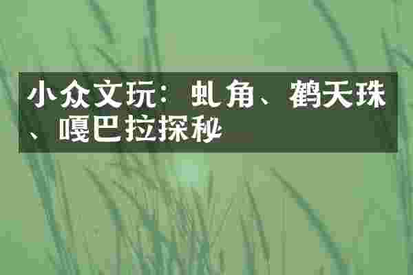 小众文玩：虬角、鹤天珠、嘎巴拉探秘