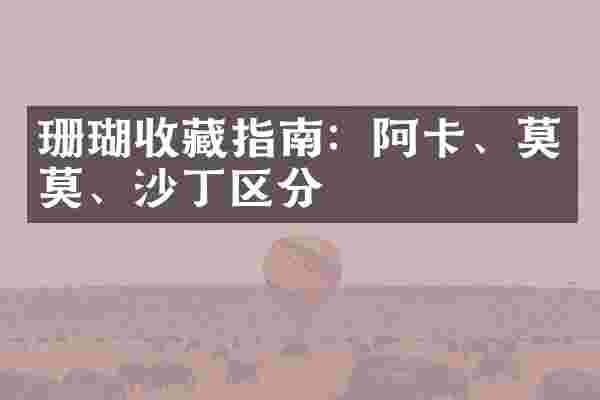 珊瑚收藏指南：阿卡、莫莫、沙丁区分