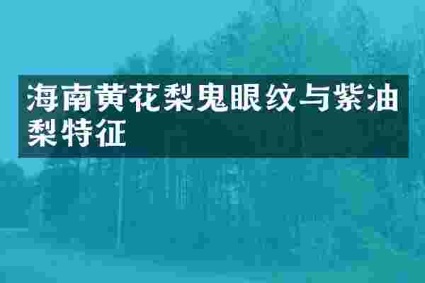 海南黄花梨鬼眼纹与紫油梨特征