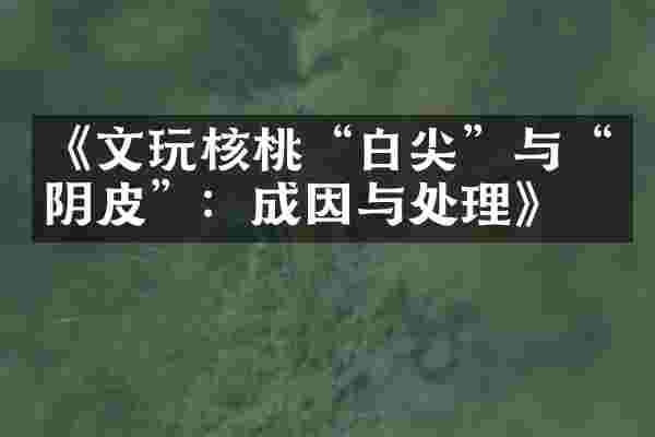 《文玩核桃&ldquo;白尖&rdquo;与&ldquo;阴皮&rdquo;：成因与处理》