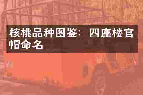 核桃品种图鉴：四座楼官帽命名