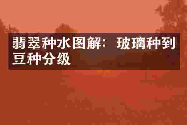 翡翠种水图解：玻璃种到豆种分级