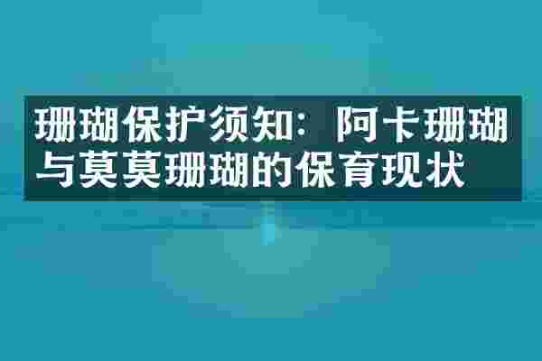 珊瑚保护须知：阿卡珊瑚与莫莫珊瑚的保育现状