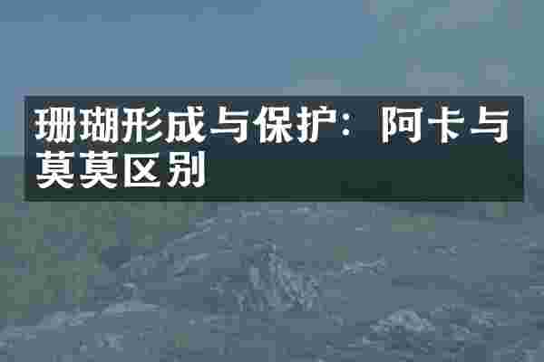 珊瑚形成与保护:阿卡与莫莫区别