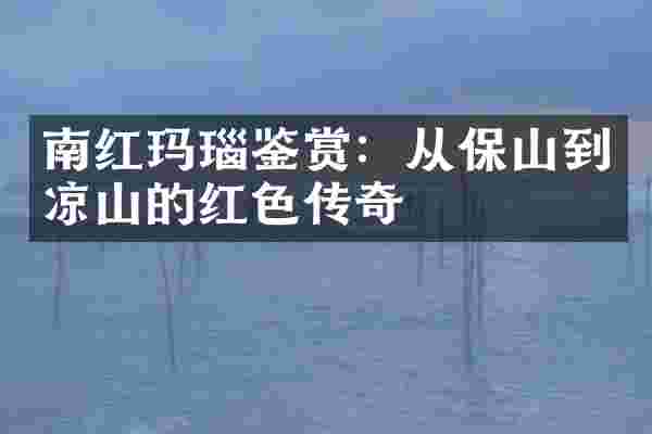 南红玛瑙鉴赏：从保山到凉山的红色传奇