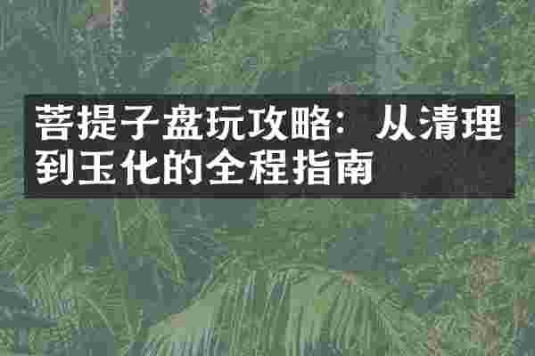菩提子盘玩攻略：从清理到玉化的全程指南