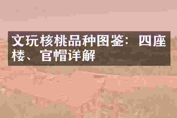 文玩核桃品种图鉴：四座楼、官帽详解