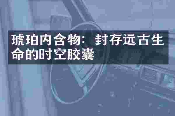 琥珀内含物：封存远古生命的时空胶囊