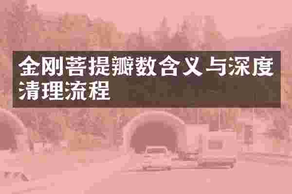 金刚菩提瓣数含义与深度清理流程
