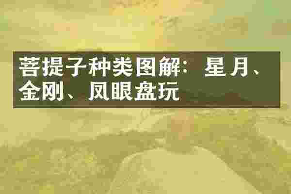 菩提子种类图解:星月、金刚、凤眼盘玩