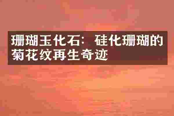 珊瑚玉化石：硅化珊瑚的菊花纹再生奇迹