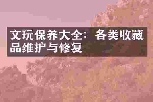 文玩保养大全：各类收藏品维护与修复