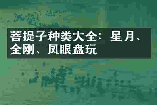 菩提子种类大全：星月、金刚、凤眼盘玩