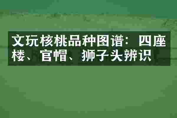 文玩核桃品种图谱:四座楼、官帽、狮子头辨识
