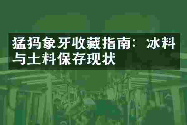 猛犸象牙收藏指南：冰料与土料保存现状