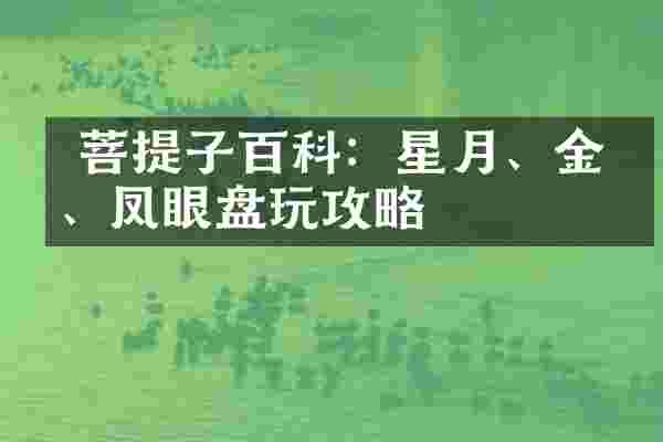  菩提子百科：星月、金刚、凤眼盘玩攻略