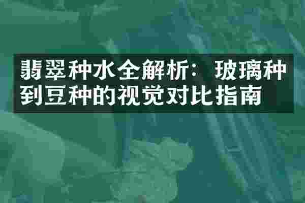 翡翠种水全解析：玻璃种到豆种的视觉对比指南