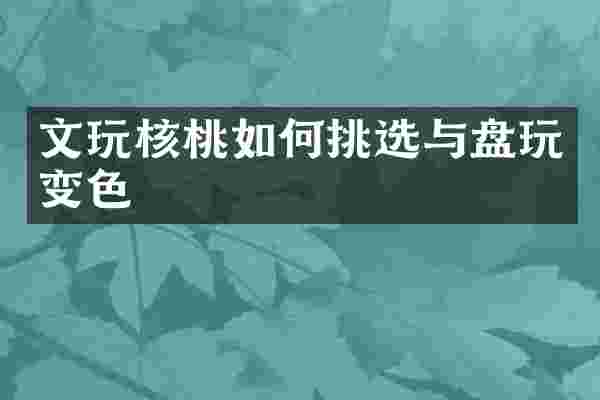 文玩核桃如何挑选与盘玩变色